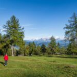 Dolomitenblick, Fauna, Salten, Tiere, wandern