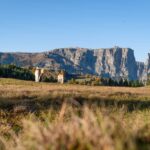 Alpe di Siusi, Haflinger Pferde, Schlern, Schlerngebiet, Schlernmassiv, Schlernspitzen, Sciliar, Seiser Alm, Seiseralm