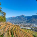 Herbst, Marlinger Waalweg, Meran, autumn, autunno