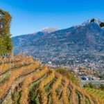 Herbst, Marlinger Waalweg, Meran, autumn, autunno