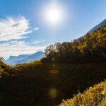 Herbst, Marlinger Waalweg, autumn, autunno