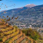 Herbst, Meran, autumn, autunno