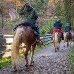 Hafling, Haflinger, Haflinger Erlebnisweg, Pferd, Pferde, Ross, cavallo, equino, horse, reiten