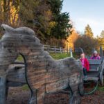 Hafling, Haflinger Erlebnisweg