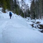 Getrumtal, Reinswald, Winter, inverno, weiße Jahreszeit, winter