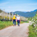 Brentalweg, passeggiare, spazieren, spazieren gehen, wandern