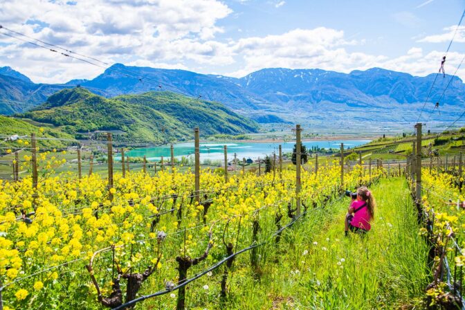 Anna, Einsaat, Kalterer See, Kalterersee, Weinberge, fotografieren