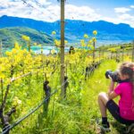 Anna, Einsaat, Frühjahr, Frühling, Kalterer See, Kalterersee, Weinberge, fotografieren