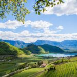 Kalterer See, Kalterersee, Ringberg, Weinberge