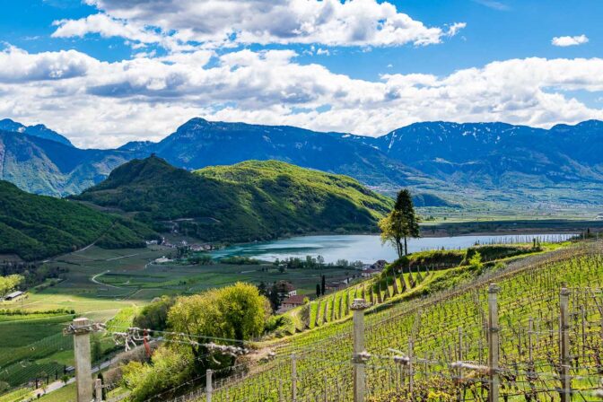 Der Kalterer See eingebettet in seiner Weinbergumgebung