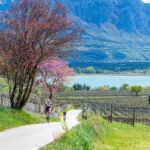 Bike, Frühjahr, Frühling, Judasbaum, Kalterer See, Kalterersee, Rad fahren