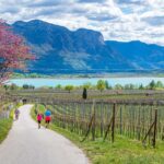 Bike, Frühjahr, Frühling, Judasbaum, Kalterer See, Kalterersee, Rad fahren