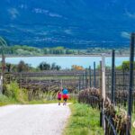 Kalterer See, Kalterersee, passeggiare, spazieren, spazieren gehen, wandern