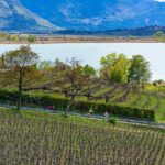 Bike, Familie, Kalterer See, Kalterersee, Rad fahren