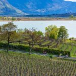 Bike, Familie, Kalterer See, Kalterersee, Rad fahren