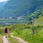 Kurtatsch, Margreid, Weinberg, Weinberge, passeggiare, spazieren, spazieren gehen, vigna, vigneto, vineyard, wandern