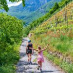 Kurtatsch, Mohnblumen, Weinberg, Weinberge, passeggiare, spazieren, spazieren gehen, vigna, vigneto, vineyard, wandern