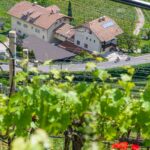 Bike, Kurtatsch, Rad fahren, Weinberg, Weinberge, vigna, vigneto, vineyard