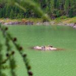 Schnalstal, Vernagt Stausee