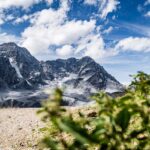 Gletscher, Ortler, Ortlergruppe, glacier