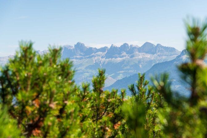 Den mächtigen Rosengarten im Blick