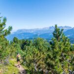 Corno Bianco, Latschen, Weisshorn, Weißhorn, wandern