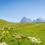 Alpe di Siusi, Langkofelgruppe, Seiser Alm, Seiseralm, wandern