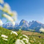 Alpe di Siusi, Langkofelgruppe, Seiser Alm, Seiseralm