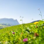 Alpe di Siusi, Schlern, Schlerngebiet, Schlernmassiv, Schlernspitzen, Sciliar, Seiser Alm, Seiseralm