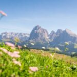 Alpe di Siusi, Langkofelgruppe, Seiser Alm, Seiseralm