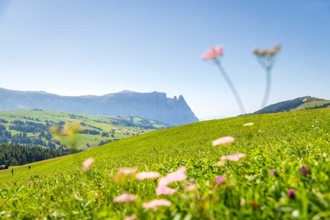 Blick Richtung Schlern