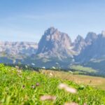 Alpe di Siusi, Langkofelgruppe, Seiser Alm, Seiseralm