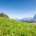 Alpe di Siusi, Langkofelgruppe, Seiser Alm, Seiseralm