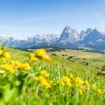 Alpe di Siusi, Langkofelgruppe, Seiser Alm, Seiseralm