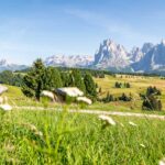 Alpe di Siusi, Langkofelgruppe, Seiser Alm, Seiseralm, Sella, Sella Gruppe, Sella Massiv, Sellagruppe, Sellastock