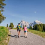 Alpe di Siusi, Langkofelgruppe, Seiser Alm, Seiseralm, wandern