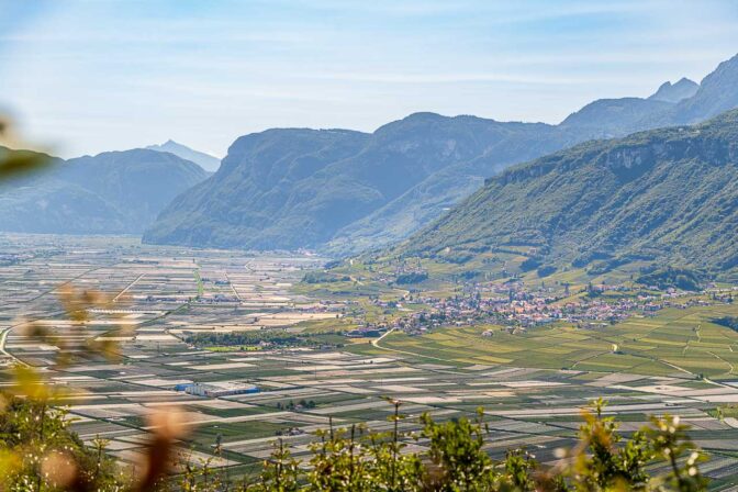 Im Süden schmiegt sich Tramin an die Berghänge des Mendelgebirges