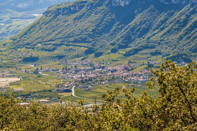 Das Weindorf Tramin