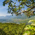 Mitterberg, Südtiroler Unterland, Termeno, Tramin, Unterland