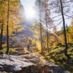 Croda da Lago, Herbst, Lärchen, autumn, autunno