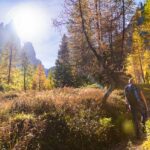 Croda da Lago, Herbst, Lärchen, autumn, autunno, wandern