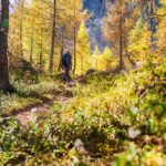 Croda da Lago, Herbst, Lärchen, autumn, autunno, wandern