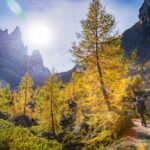 Croda da Lago, Herbst, Lärchen, Sonne, autumn, autunno, wandern