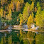 Herbst, Lago di Federa, Lärchen, autumn, autunno