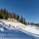 Roen Alm, Winter, inverno, weiße Jahreszeit, winter