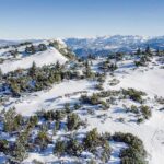 Latschen, Roen, Schnee, Vogelperspektive