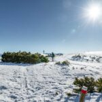 Gipfelkreuz, Roen, Winter, Winterwandern, inverno, weiße Jahreszeit, winter