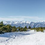 Roen, Winter, inverno, weiße Jahreszeit, winter