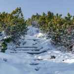 Schwarzer Kopf, Winter, inverno, weiße Jahreszeit, winter