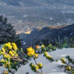 Termeno, Tramin, Winter, inverno, weiße Jahreszeit, winter